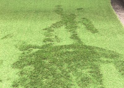 Artificial Grass - Kirkland Carpet & Bed Centre